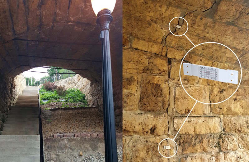 Survey Monitoring