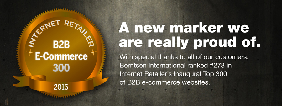 B2B E-Commerce Top 300