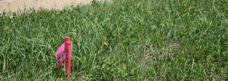 Berntsen Plastic Survey Stakes