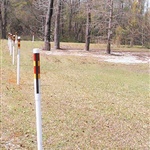 Seibert Stakes