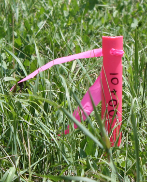 Plastic survey stake with flagging